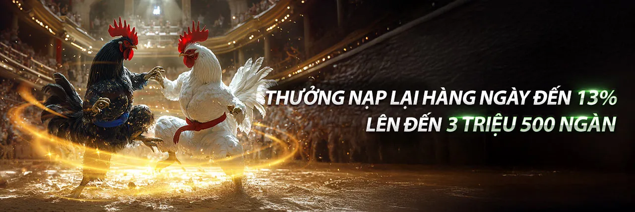 Các chương trình khuyến mãi và ưu đãi độc quyền tại b66 chính thức